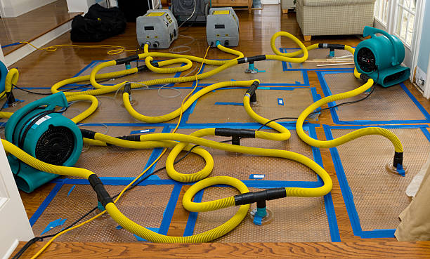 Professional Flood Damage Restoration technician working in Galesburg, MI
